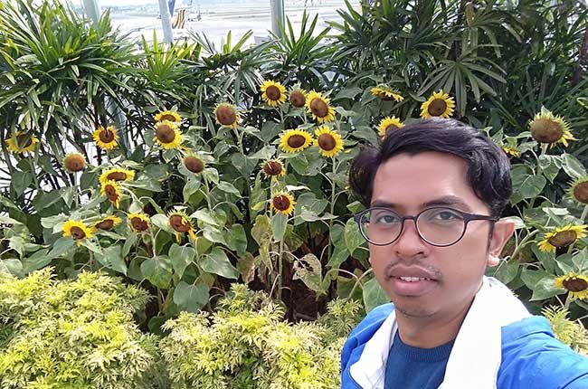 Sunflower Garden Changi Singapura