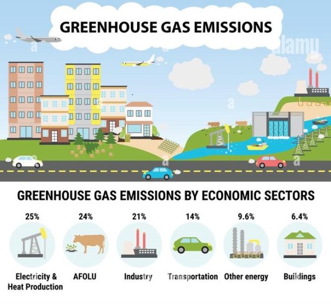 green house emission contribution